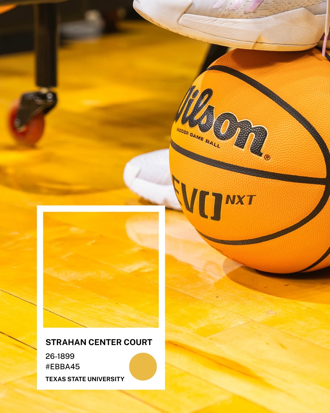 Quả bóng rổ trên sàn gỗ vàng của sân Strahan — chip màu Strahan Center Court #EBBA45