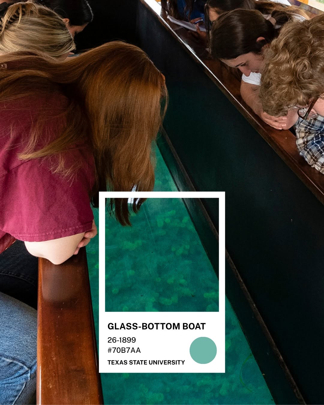 Sinh viên cúi nhìn qua đáy kính của thuyền trên hồ Spring Lake — chip màu Glass-Bottom Boat #70B7AA