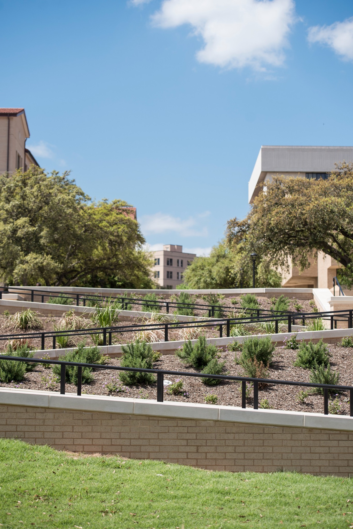 Earth Day tại TXST